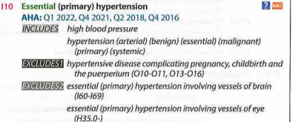 Medical Coding Conventions ICD 10-CM 2024 Blue Print